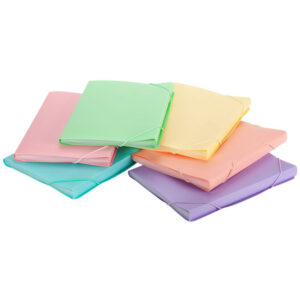 Fascikla A4 sa 12 pregrada