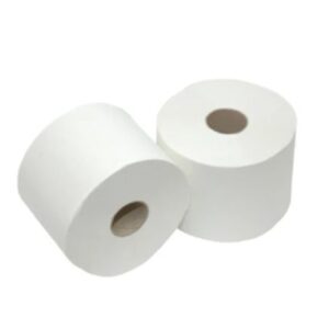 Toalet papir rolna troslojna 100g 40/1